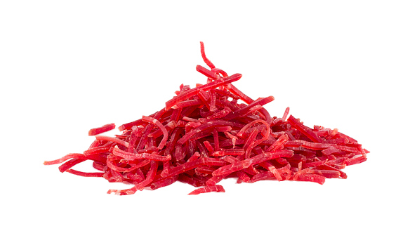 Julienne di Bresaola